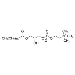 Cambridge Isotope Laboratories&nbsp;Lyso-PC 20 0 (unlabeled) CP 95% 5 mg