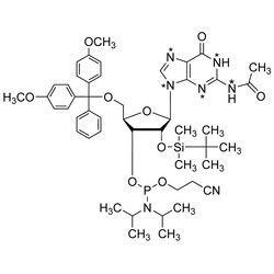 Cambridge Isotope Laboratories&nbsp;Guanosine phosphoramidite (U-15N5  98%) CP 95% 50 mg
