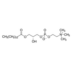 Cambridge Isotope Laboratories&nbsp;Lyso-PC 24 0 (unlabeled) CP 95% 5 mg