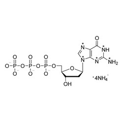 Cambridge Isotope Laboratories 2-Deoxyguanosine 5-triphosphate ammonium