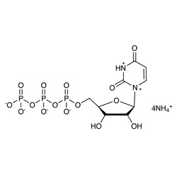 Cambridge Isotope Laboratories&nbsp;Uridine 5-triphosphate  ammonium salt (15N2  98-99%) CP 90% (in solution) 20 umol