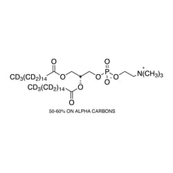 Cambridge Isotope Laboratories&nbsp;1 2-Dipalmitoyl-SN-glycero-3-phosphocholine (DPPC) (dipalmitoyl-D62  97%  50-60% on Alpha carbons) 0 1 g