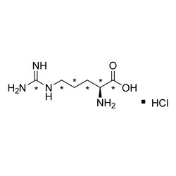 Cambridge Isotope Laboratories&nbsp;L-Arginine HCl (13C6  99%) 0 25 g