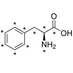 Cambridge Isotope Laboratories&nbsp;L-Phenylalanine (13C9  99%  15N  99%) 0 1 mg