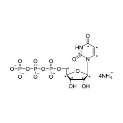 Cambridge Isotope Laboratories&nbsp;Uridine 5-triphosphate  ammonium salt (UTP) (13C9  99%) CP 90% (in solution) 100 umol