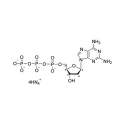 Cambridge Isotope Laboratories&nbsp;2-Amino-2-deoxyadenosine 5-triphosphate  NH4  (ribose-1 2 3 4 5-13C5  99%) (in solution) CP 95% 100 umol