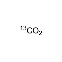 Cambridge Isotope Laboratories&nbsp;5% CO2 in Air  high level calibrant gas 10 L