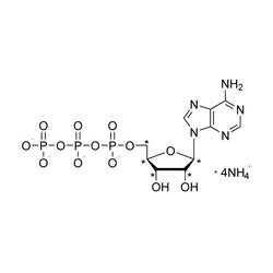Cambridge Isotope Laboratories Adenosine 5-triphosphate ammonium salt (1