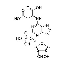 Cambridge Isotope Laboratories&nbsp;Adenylosuccinate (AdS)  ammonium salt (ribose-13C5  99%) (in solution) CP 95% 100 umol