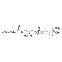 Cambridge Isotope Laboratories&nbsp;Lyso-PC 26 0 (unlabeled) CP 95% 0 01 g