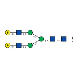 Cambridge Isotope Laboratories&nbsp;Glycan-N2-13C-Gal6 6 ([galactose-13C6  99%]2) 500 pmol