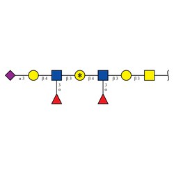 Cambridge Isotope Laboratories&nbsp;Glycan-O19-13C-Gal4 (galactose-13C6  99%) 500 pmol