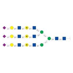 Cambridge Isotope Laboratories&nbsp;Glycan-N37-13C-Gal6 6 6 ([galactose-13C6  99%]3) 500 pmol