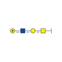 Cambridge Isotope Laboratories&nbsp;Glycan-O2-13C-Gal4 (galactose-13C6  99%) 500 pmol
