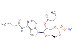 eMolecules​&nbsp;16980-89-5 | N-6,O-2'-Dibutyryladenosine cyclic 3',5'-monophosphate sodium salt | AA Blocks LLC | MFCD00005843 | 491.373 | C18H23N5NaO8P | 0.000 | [Na+].CCCC(=O)Nc1ncnc2n(cnc12)[C@@H]1O[C@@H]2COP([O-])(=O)O[C@H]2[C@H]1OC(=O)CCC | 25mg | 585999428