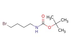 eMolecules​&nbsp;164365-88-2 | tert-Butyl (4-bromobutyl)carbamate | Synthonix - Stock | MFCD06201020 | 252.152 | C9H18BrNO2 | 95.000 | CC(C)(C)OC(=O)NCCCCBr | 250mg | 452564284