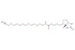 eMolecules​&nbsp;1262681-31-1 | ACetylene-PEG4-biotin conjugate | Ambeed | MFCD22380755 | 457.590 | C21H35N3O6S | 95.000 | O=C(CCCC[C@@H]1SC[C@@H]2NC(=O)N[C@H]12)NCCOCCOCCOCCOCC#C | 250mg | 525881710