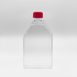 Pacer Global LLC&nbsp;300cm2 Tissue Culture Flasks, Vented Caps, Sterile, 18/CS