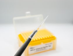 Pacer Global LLC&nbsp;200 uL Universal Pipette Tips