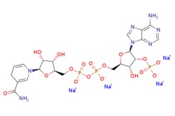 eMolecules​&nbsp;2646-71-1 | NADPH TETRASODIUM | AstaTech | MFCD00036263 | 833.351 | C21H26N7Na4O17P3 | 98.000 | [Na+].[Na+].[Na+].[Na+].NC(=O)C1=CN(C=CC1)[C@@H]1O[C@H](COP([O-])(=O)OP([O-])(=O)OC[C@H]2O[C@H]([C@H](OP([O-])([O-])=O)[C@@H]2O)n2cnc3c(N)ncnc23)[C@@H](O)[C@H]1O | 1g | 531653285