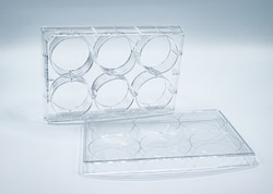 Pacer Global LLC&nbsp;6-Well Tissue Culture Plates with Lids, Individually Wrapped, Sterile, 100/CS