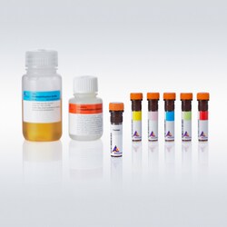 Miltenyi Biotec, Inc.&nbsp;8-color Immunophenotyping Kit, human REA