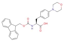 eMolecules​&nbsp;2349610-01-9 | N-Fmoc-4-(4-morpholinyl)-L-phenylalanine | Acrotein ChemBio Inc.472.541 | C28H28N2O5 | 97.000 | OC(=O)[C@H](Cc1ccc(cc1)N1CCOCC1)NC(=O)OCC1c2ccccc2-c2ccccc12 | 1g | 625592376