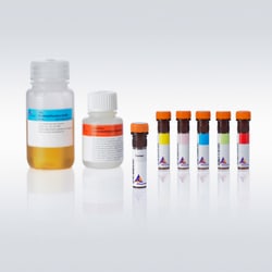 Miltenyi Biotec, Inc.&nbsp;MDSC Detection Kit, human