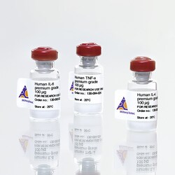 Miltenyi Biotec, Inc.&nbsp;Human TGF-β2 (10 µg, HEK)