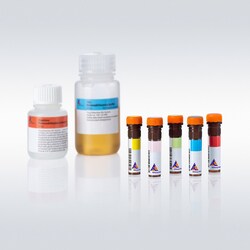 Miltenyi Biotec, Inc.&nbsp;Treg Detection Kit (Vio667), mouse