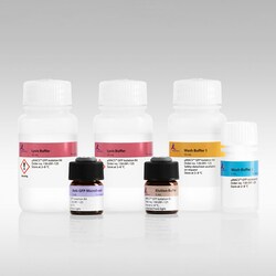 Miltenyi Biotec, Inc.&nbsp;MACSflex MicroBead Kit (0,5mg)