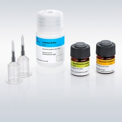 Miltenyi Biotec, Inc.&nbsp;Exosome Starting Kit CD81, human