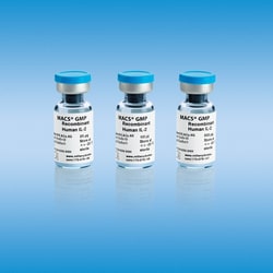 Miltenyi Biotec, Inc.&nbsp;MACS GMP Recombinant Human IL-2 (25 µg)