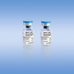 Miltenyi Biotec, Inc.&nbsp;MACS GMP Recombinant TNF-alpha (100 µg)