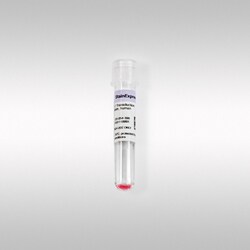 Miltenyi Biotec, Inc.&nbsp;StainExpress&trade; T Cell Subsets Cocktail, human