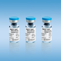 Miltenyi Biotec, Inc.&nbsp;MACS GMP Recombinant Human M-CSF 250 µg