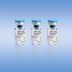 Miltenyi Biotec, Inc.&nbsp;MACS GMP Recombinant Human IL-12 100 µg