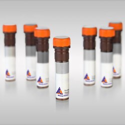 Miltenyi Biotec, Inc.&nbsp;MACSpep RSV F (KYKNAVTEL) H2-Kd