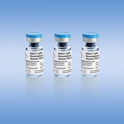Miltenyi Biotec, Inc.&nbsp;MACS GMP Recombinant Human TGF-b1 5 µg