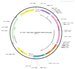 BIOHIPPO&nbsp;AAV-hSyn-CaMPARI2-WPRE-pA