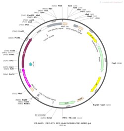 BIOHIPPO&nbsp;AAV-hCD68-Cre-WPRE-PA