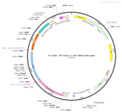 BIOHIPPO&nbsp;AAV-L7-Cre-WPRE-hGH-polyA