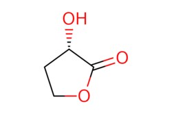 eMolecules​&nbsp;52079-23-9 | (3S)-3-hydroxytetrahydrofuran-2-one | Pharmablock | MFCD00211245 | 102.089 | C4H6O3 | 97.000 | O[C@H]1CCOC1=O | 2.5g | 784548888