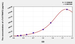 BIOHIPPO&nbsp;Human cTnT/TNNT2 Microsample