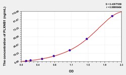 BIOHIPPO&nbsp;Human PLXNB1 Microsample