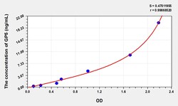 BIOHIPPO&nbsp;Human GP5 Microsample