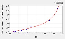 BIOHIPPO&nbsp;Human TRA2b Microsample