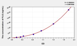 BIOHIPPO&nbsp;Human FLG Microsample