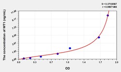 BIOHIPPO&nbsp;Human WT1 Microsample