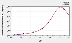 BIOHIPPO&nbsp;Human UCP1 Microsample